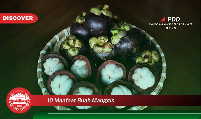 10 manfaat buah manggis