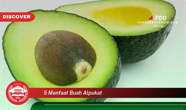 5 manfaat buah alpukat