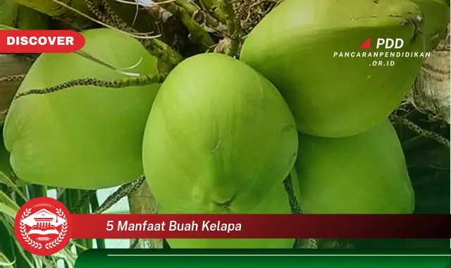 5 manfaat buah kelapa