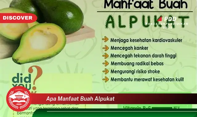 apa manfaat buah alpukat