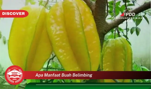 apa manfaat buah belimbing