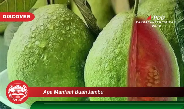 apa manfaat buah jambu