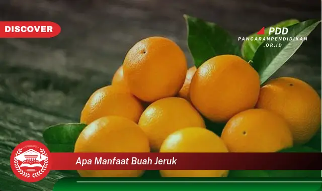 apa manfaat buah jeruk