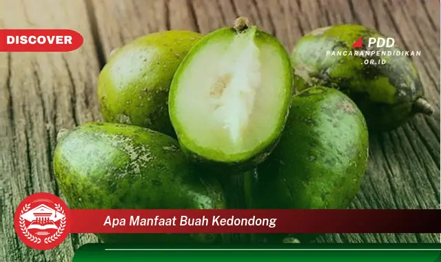 apa manfaat buah kedondong