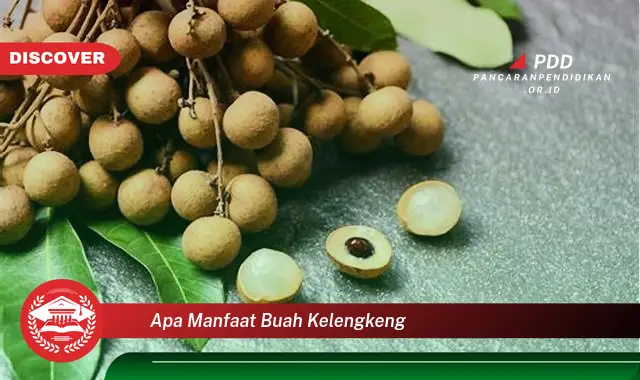 apa manfaat buah kelengkeng