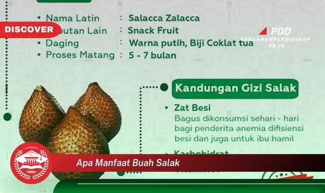 apa manfaat buah salak