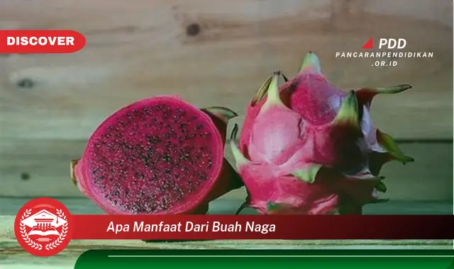 apa manfaat dari buah naga