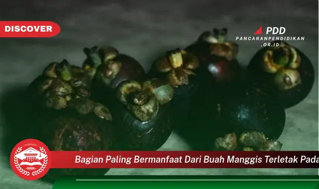 bagian paling bermanfaat dari buah manggis terletak pada