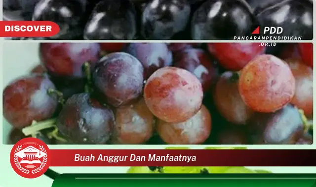 buah anggur dan manfaatnya