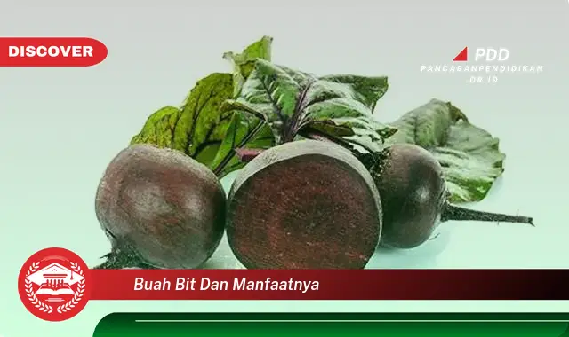 buah bit dan manfaatnya