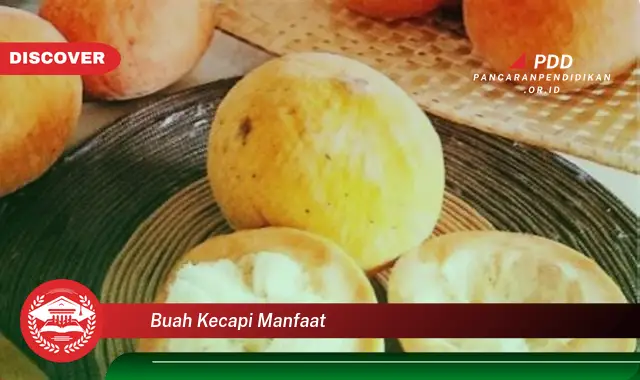 buah kecapi manfaat