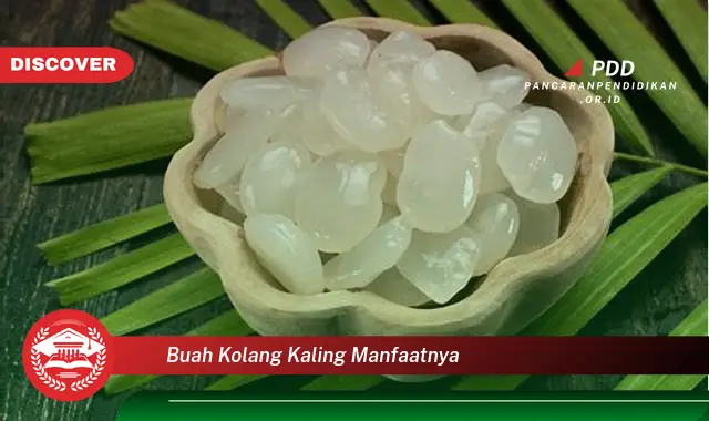 buah kolang kaling manfaatnya