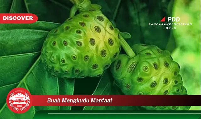 buah mengkudu manfaat