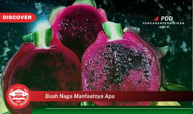 Intip 10 Manfaat Buah Naga yang Bakal Bikin Kamu Penasaran!