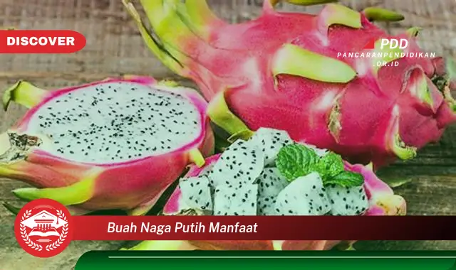 buah naga putih manfaat