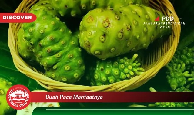buah pace manfaatnya