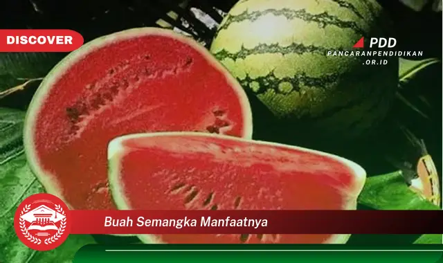 buah semangka manfaatnya