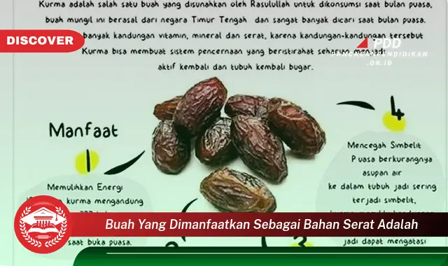 buah yang dimanfaatkan sebagai bahan serat adalah