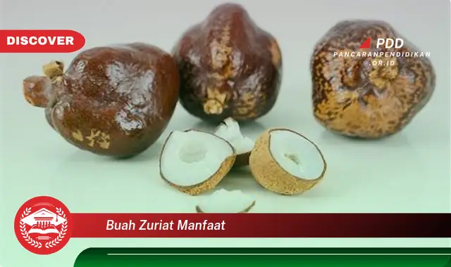 Kamu Wajib Tahu, Ini dia 30 Manfaat Buah Zuriat yang Bikin Penasaran