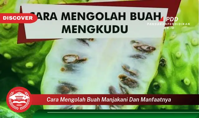 cara mengolah buah manjakani dan manfaatnya