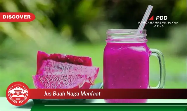 Banyak yang belum Tau Inilah 30 Manfaat Jus Buah Naga yang bikin Penasaran