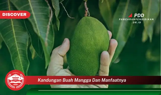 kandungan buah mangga dan manfaatnya