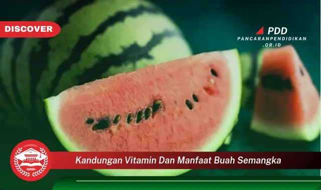 kandungan vitamin dan manfaat buah semangka