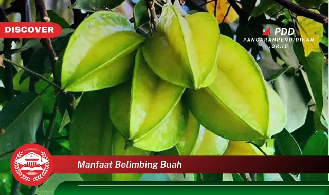 manfaat belimbing buah