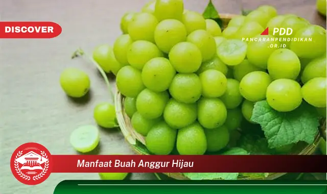 manfaat buah anggur hijau