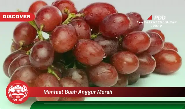 manfaat buah anggur merah