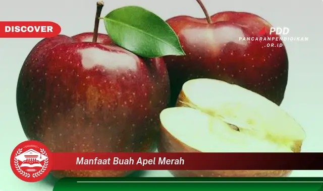 manfaat buah apel merah