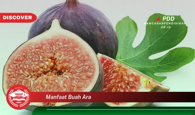 manfaat buah ara