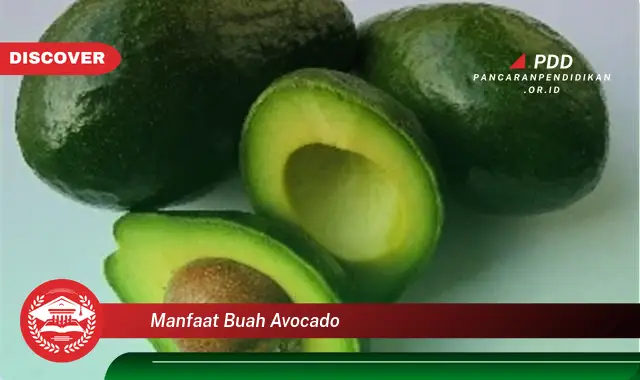 manfaat buah avocado