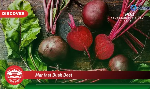 manfaat buah beet