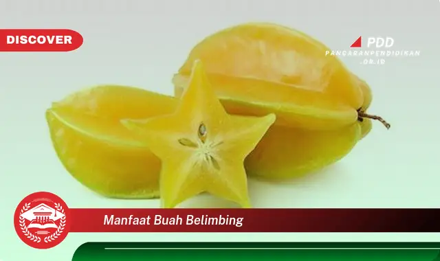 manfaat buah belimbing