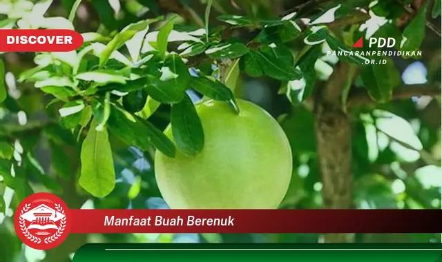 manfaat buah berenuk