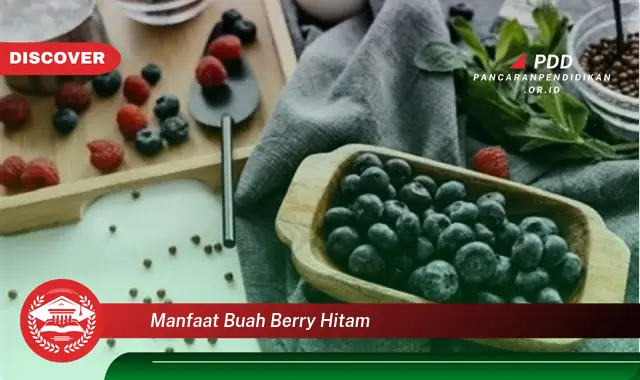 Kamu Wajib Tahu, Ini 30 Manfaat Buah Berry Hitam yang Bikin Penasaran