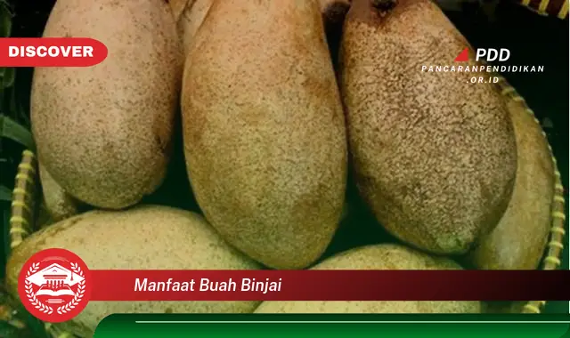 manfaat buah binjai