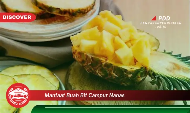 manfaat buah bit campur nanas