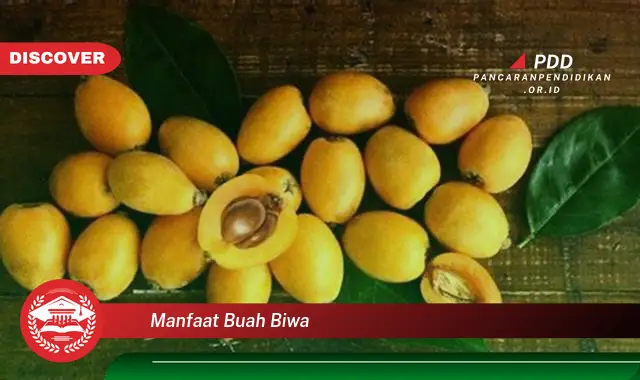 manfaat buah biwa