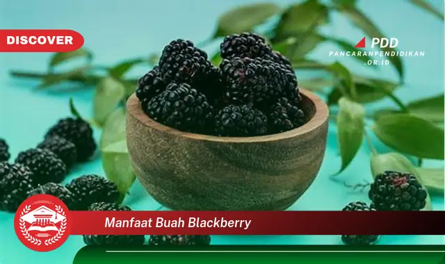 manfaat buah blackberry