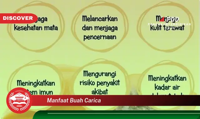 manfaat buah carica