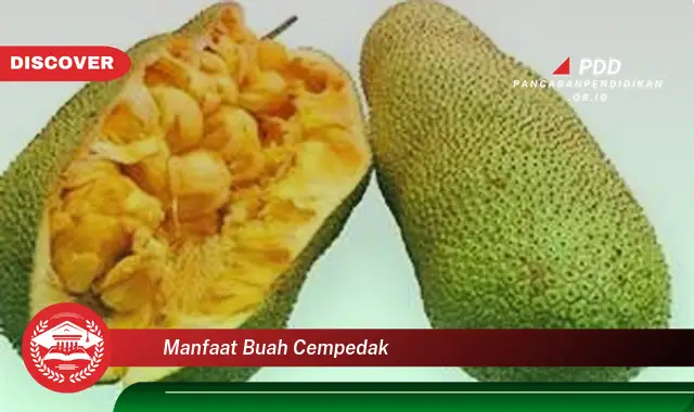 manfaat buah cempedak