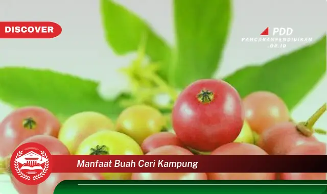 Jarang Diketahui, 30 Manfaat Buah Ceri Kampung yang Bikin Penasaran