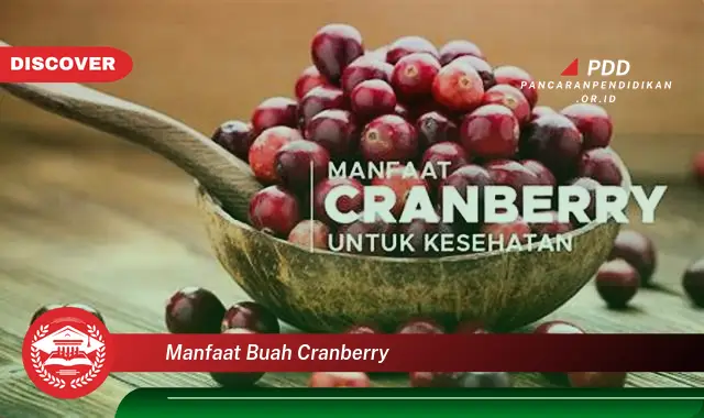 manfaat buah cranberry