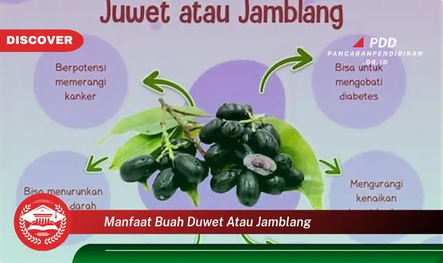 manfaat buah duwet atau jamblang