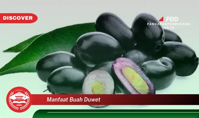 manfaat buah duwet