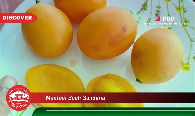 manfaat buah gandaria