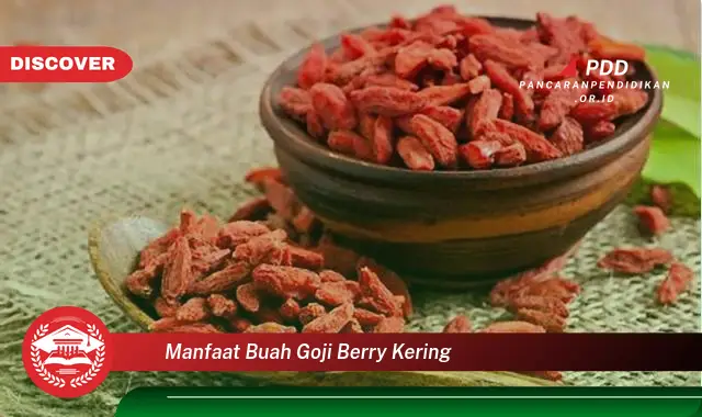 manfaat buah goji berry kering