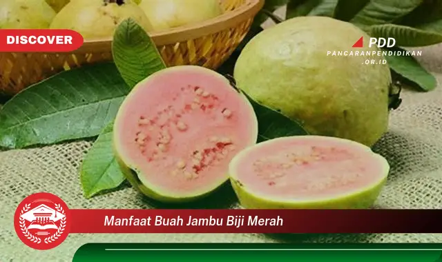 manfaat buah jambu biji merah